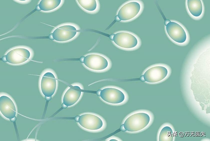 那些进入女性体内,没有成功“受精”的精子,最后都怎样了?