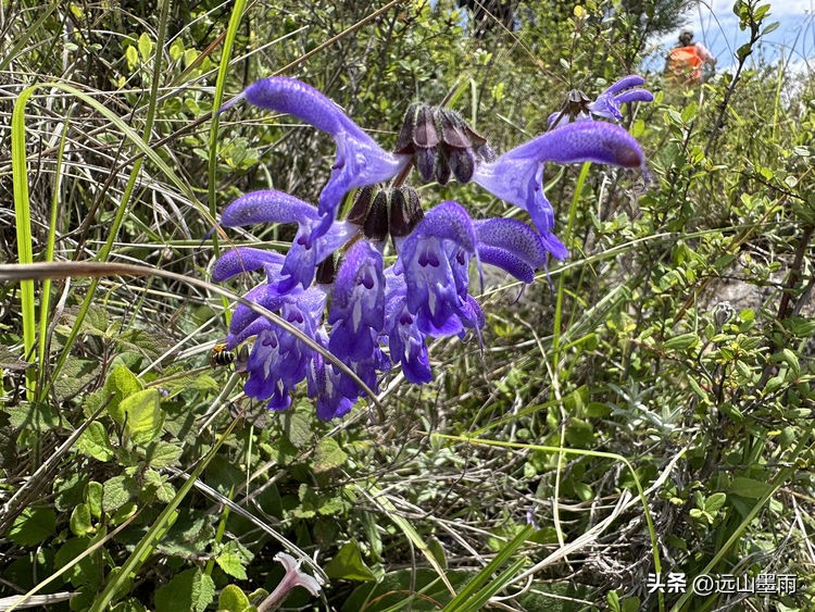 走进昆明安宁，爬癞乌包山、走车木河水库，收获了简单纯粹的快乐