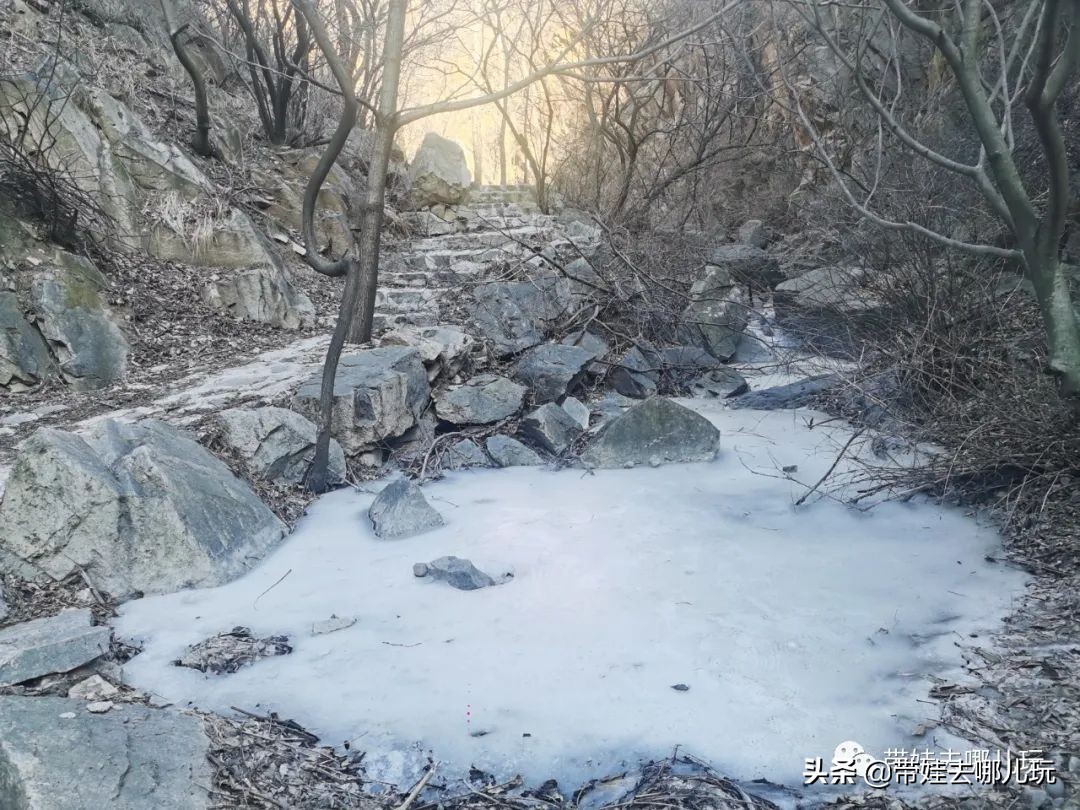 中国8条最美徒步路线带娃必去,发现一处幽静散步的好去处