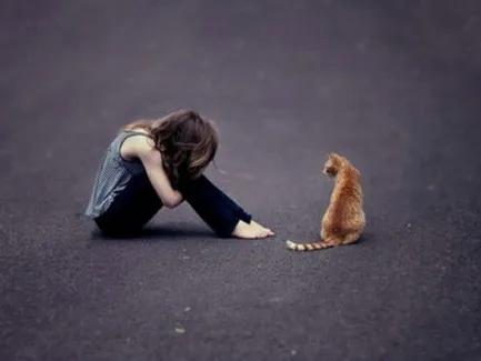 心理学十大著名法则鳄鱼法则,心理学十大定律图片