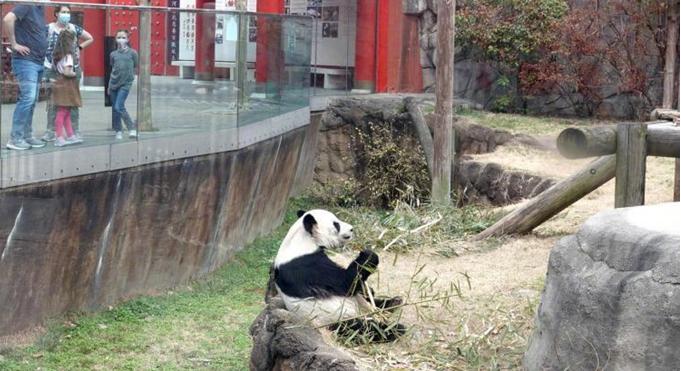 男子自家鱼塘电鱼被罚500元,男子自家鱼塘电鱼被处罚网友追问