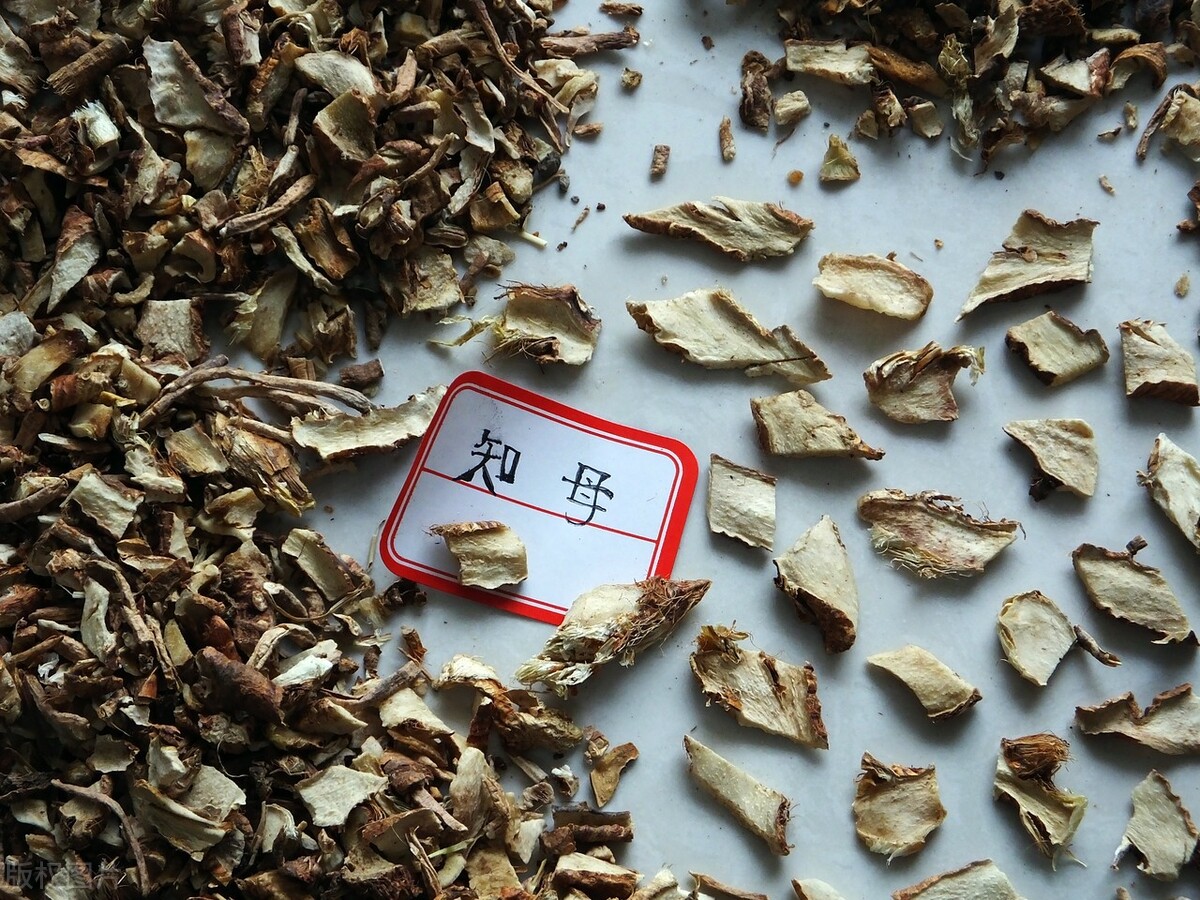 腿疼肩疼怎样治愈,肩疼腿疼吃哪种药