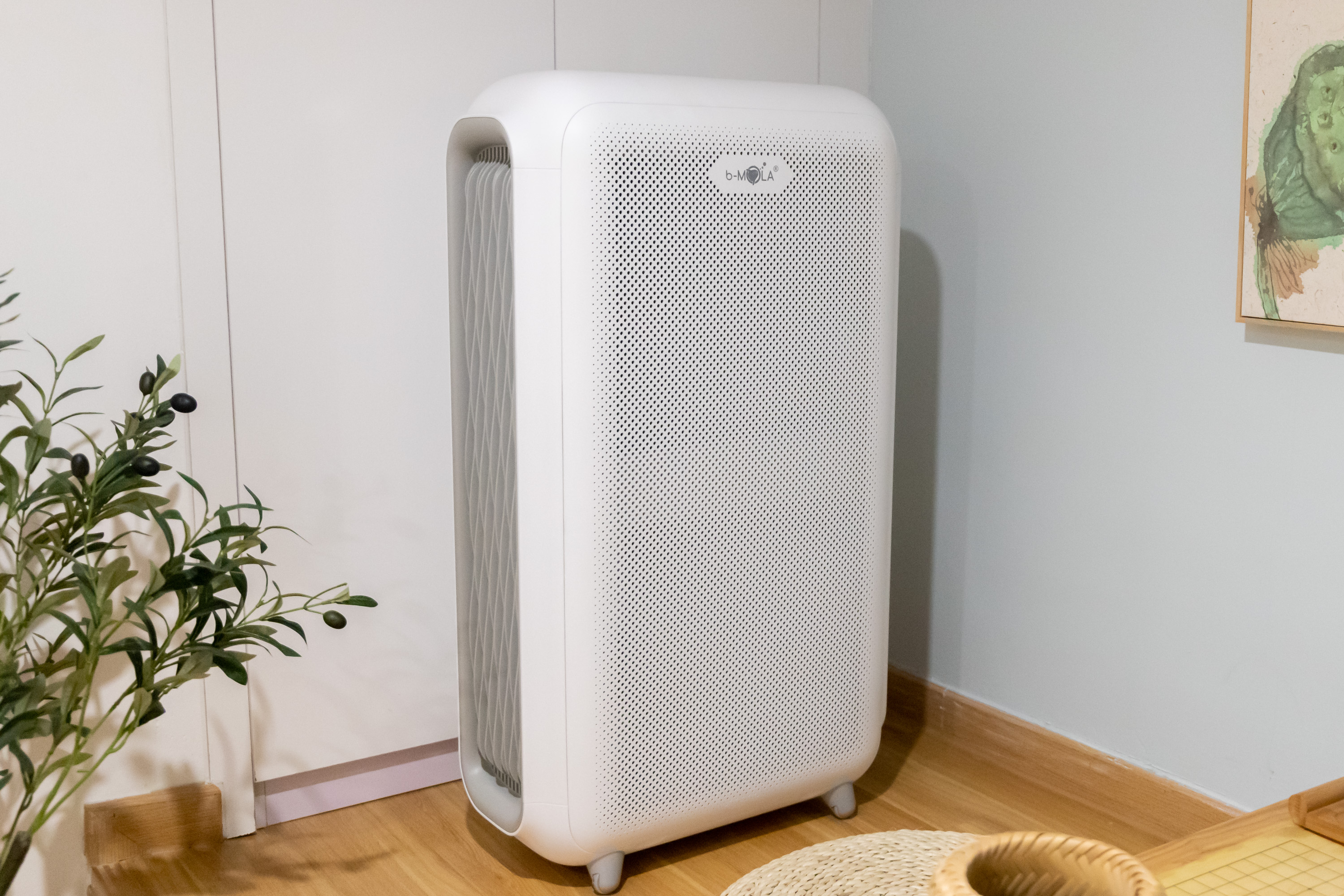 如果装修能重来一定要这样做,如果再装修你会怎么选