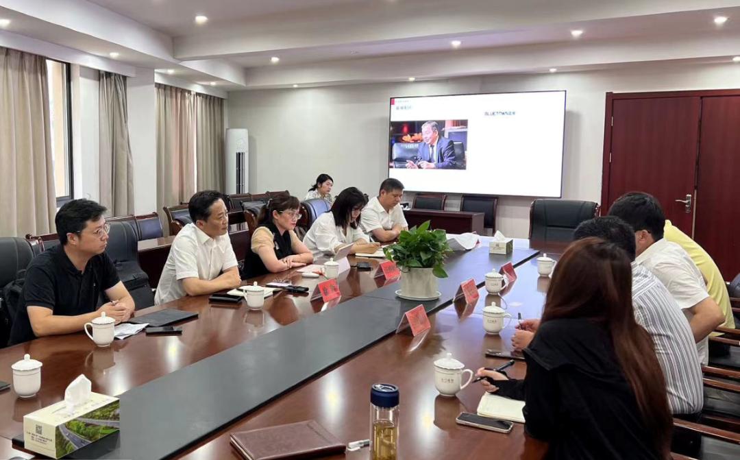 蓝城汪婷婷,蓝城乐居服务集团