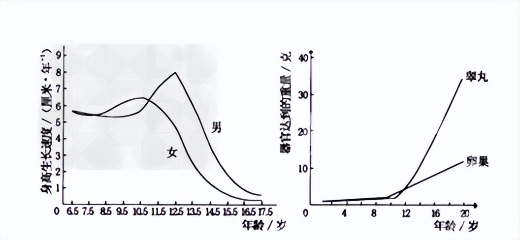 dna甲基化防癌检测的卖点,dna甲基化利器
