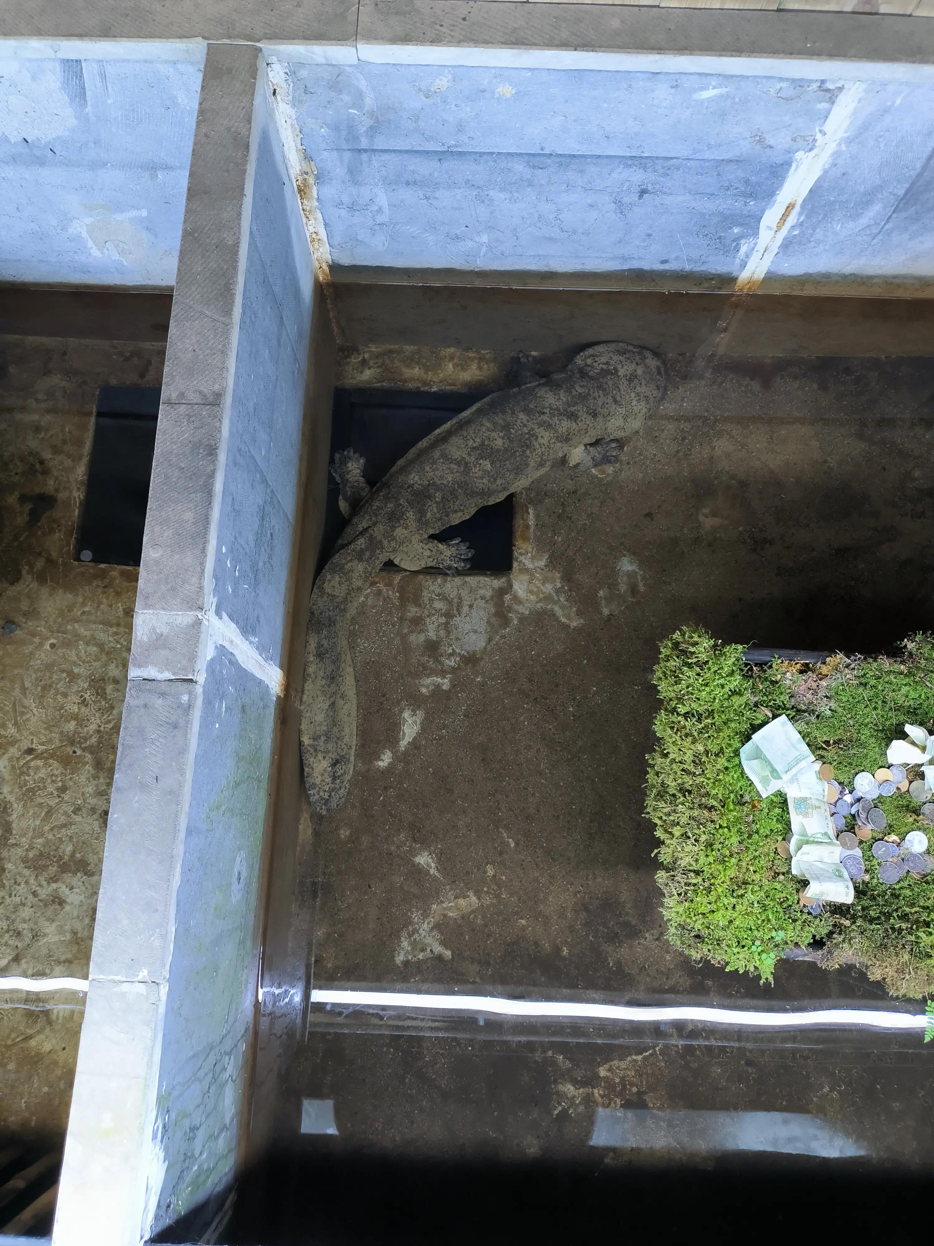 武汉到神农架高铁开通了吗,武汉到神农架汽车多长时间