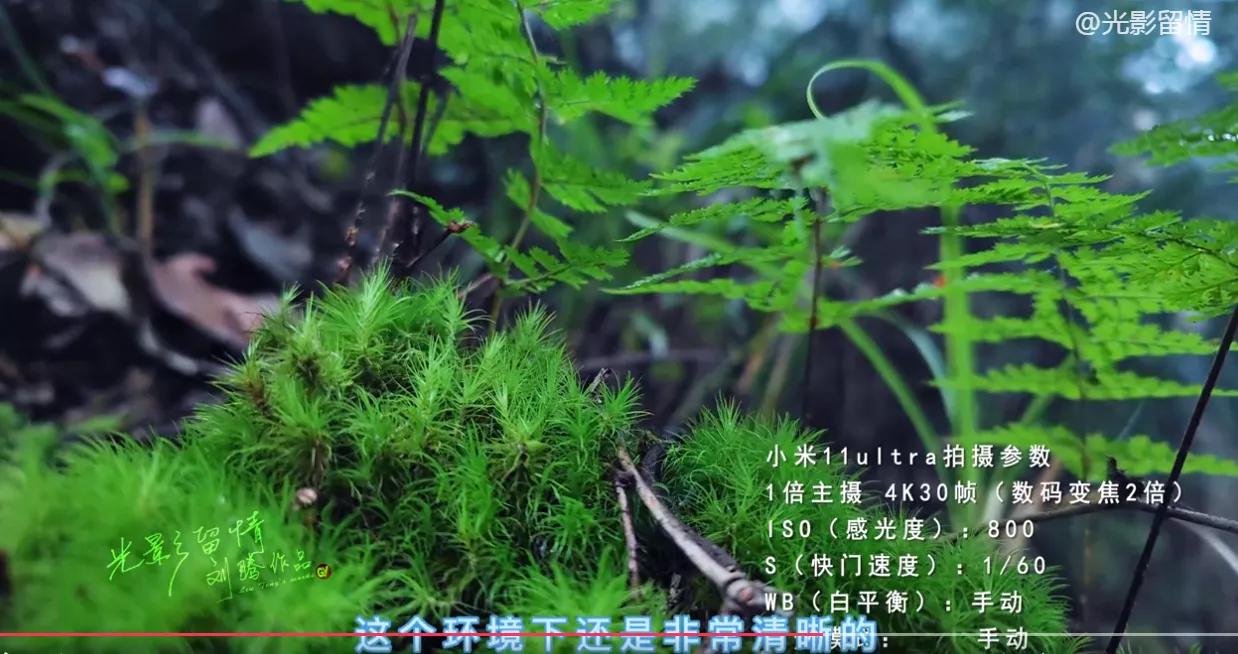 vlog神器手机推荐,拍vlog用哪款手机好用