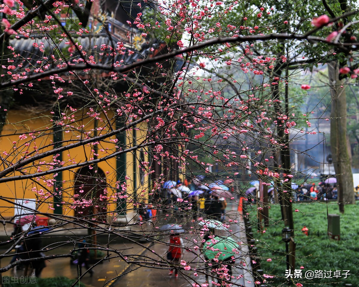 杭州旅行攻略5个必游精华景点,杭州5.1旅游景点