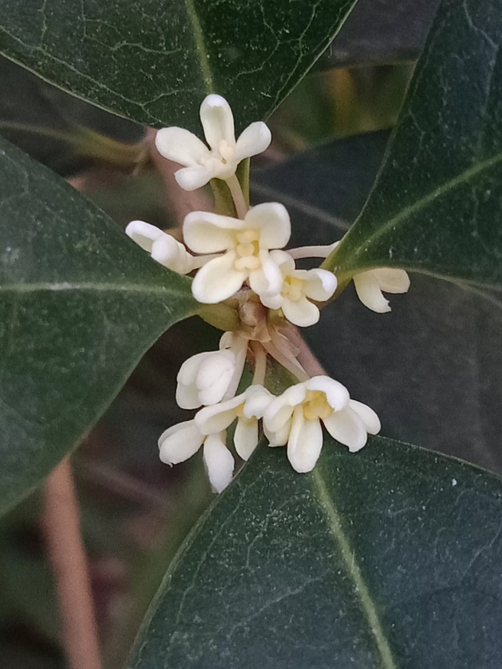 自我查摆存在问题原因及整改措施,教你快速找出问题的基本原因