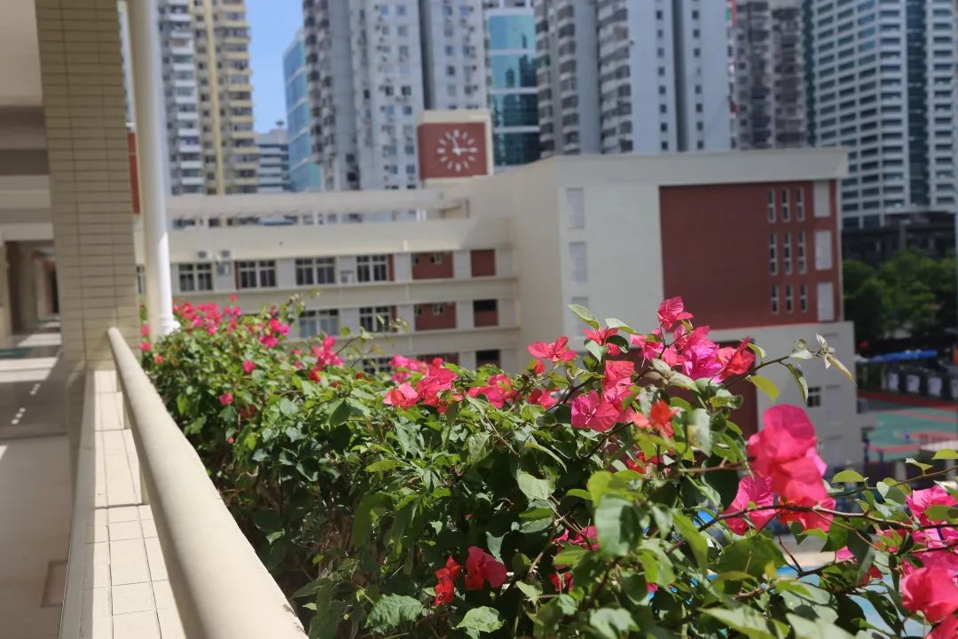 深圳福田2025年幼升小学位紧张吗,新增公办义务教育学位超3000个