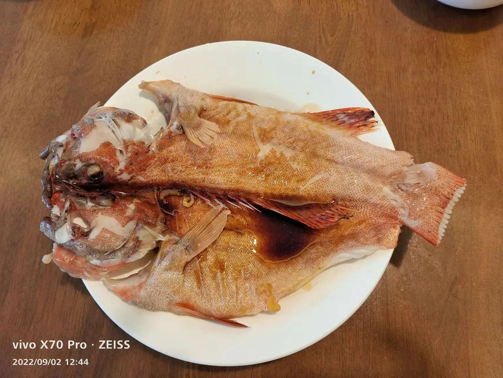 走哪游哪的说说,走哪聊哪的人性格