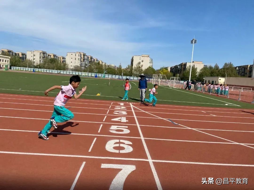 校园竞技,校园赛场青春激扬活力四射