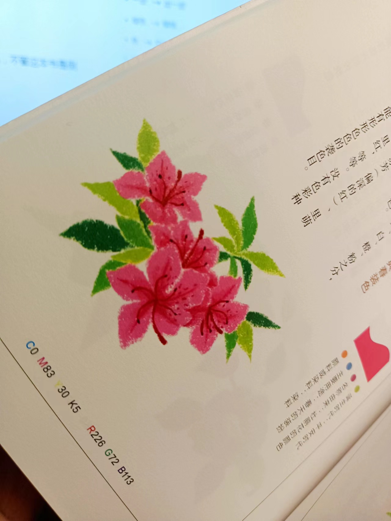 《日本传统色》：一本了解颜色及其文化意义的图册，带色值的哦