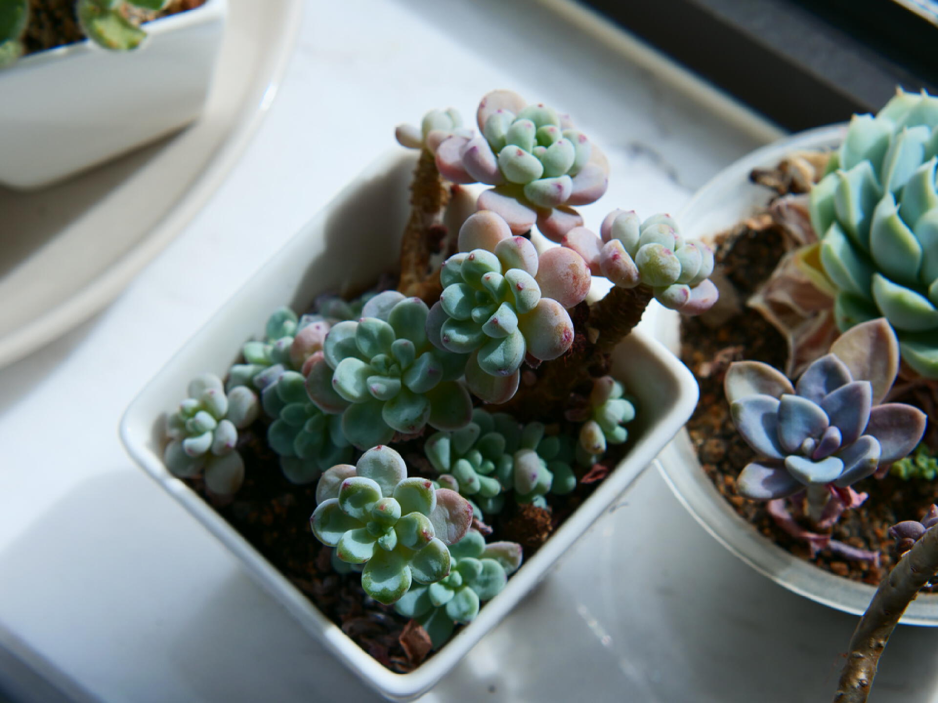 有好的摄影器材就能拍出好照片,适合新手拍摄的摄影器材