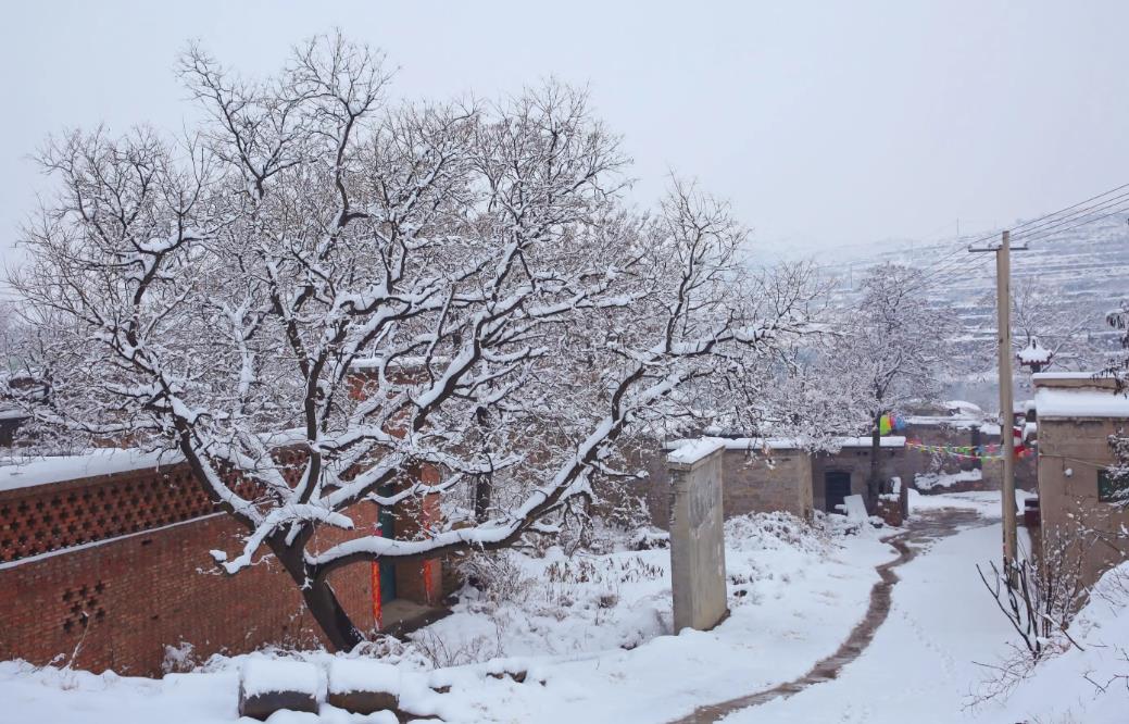 什么时候开始数九今年最冷的,数九已开始今年冷冬是几九