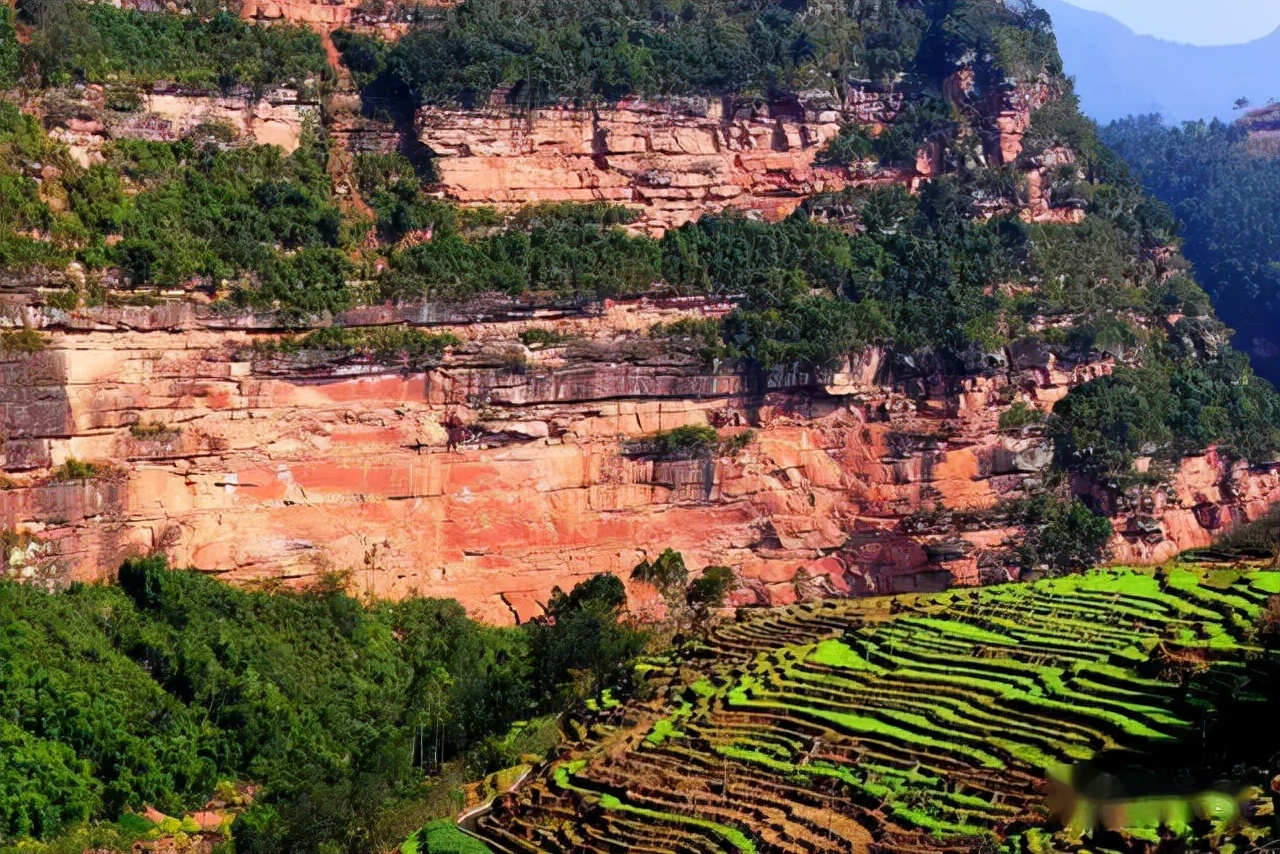 2022春节成都周边油菜花,2022年成都油菜花观赏地