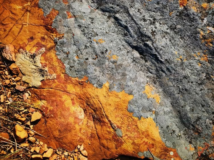 旅顺城山,旅顺城山怎么绕过去