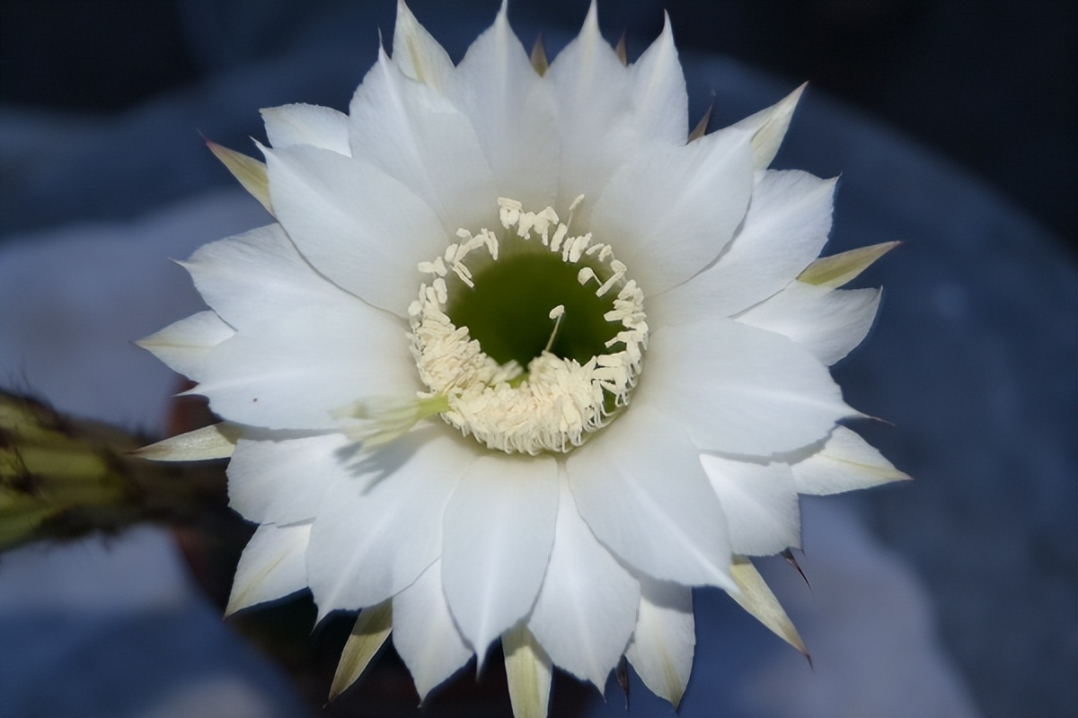 情侣之间分手正确处理方式,假分手怎么挽回