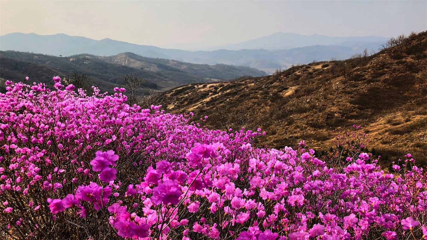 春情春思春景赏，春思春念春日长