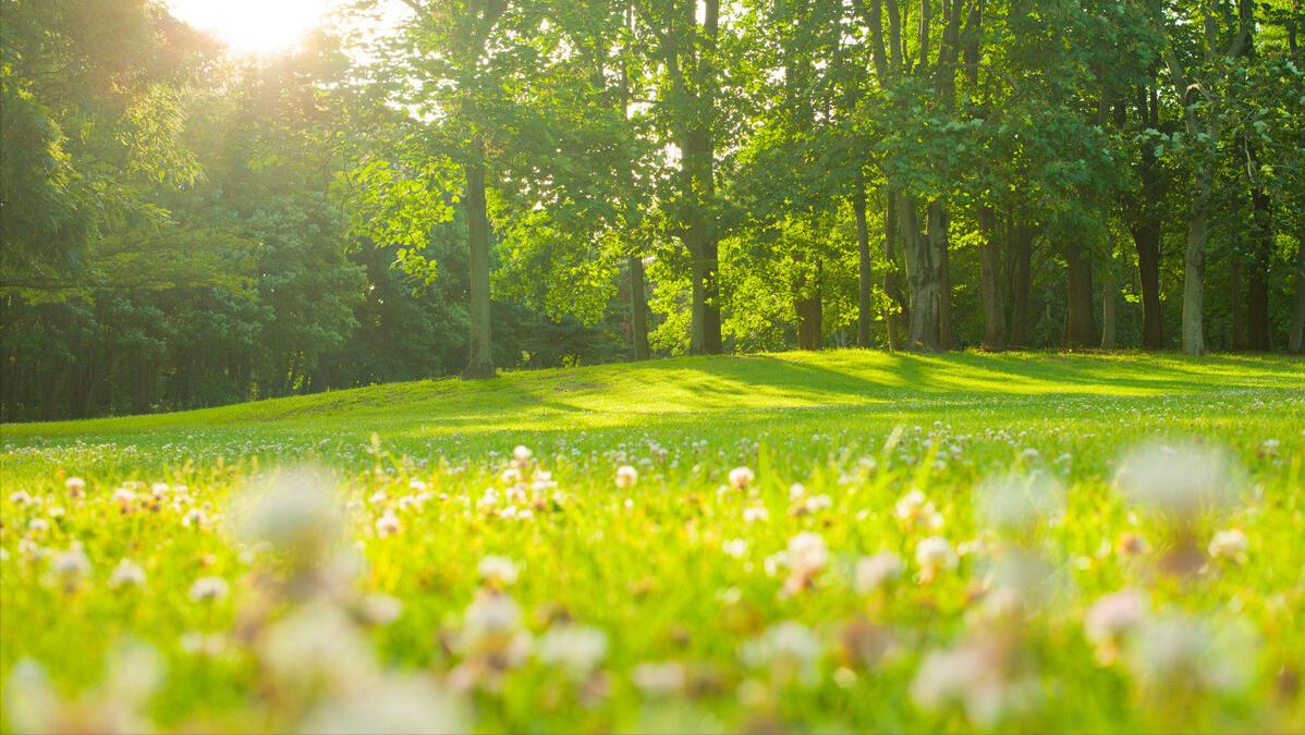 甲减引起的怕冷如何改善,甲减经常满头大汗怎么回事