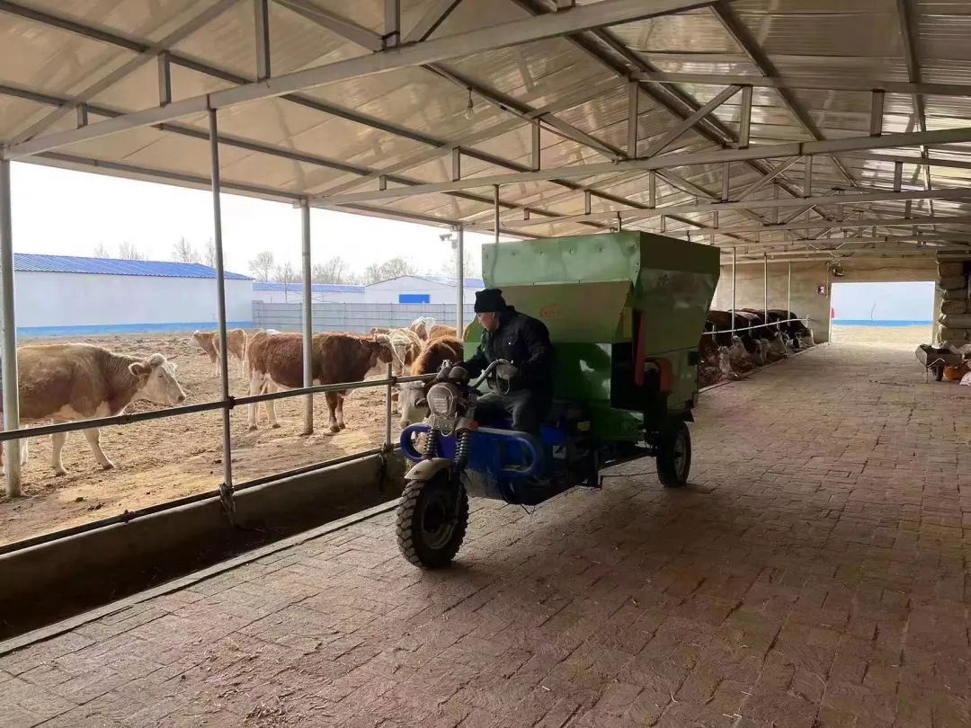 库伦旗养殖新政策,库伦旗养殖致富