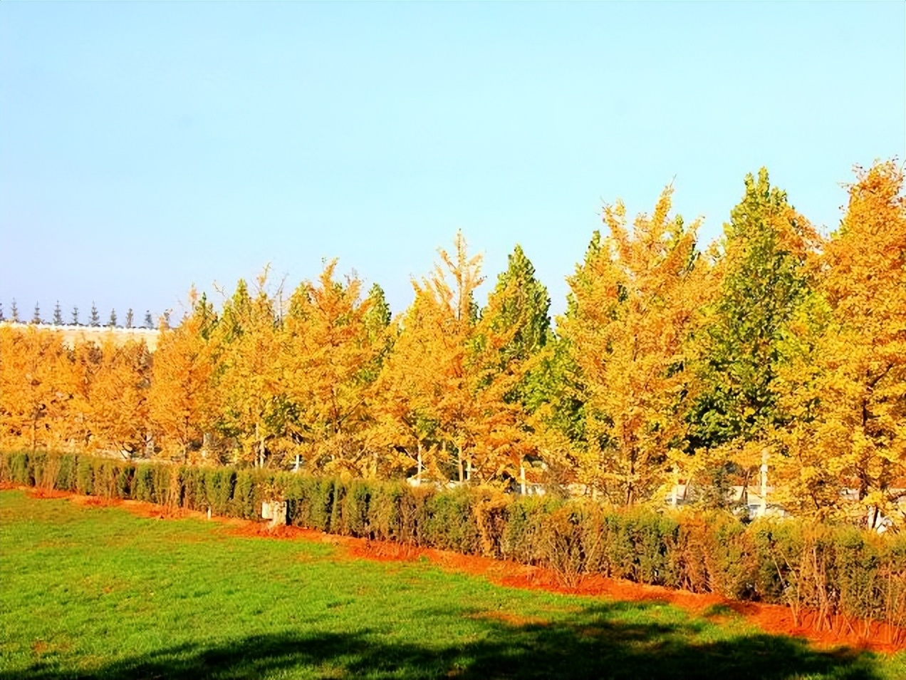 灵山宝塔陵园在啥地方,灵山宝塔陵园属于什么档次