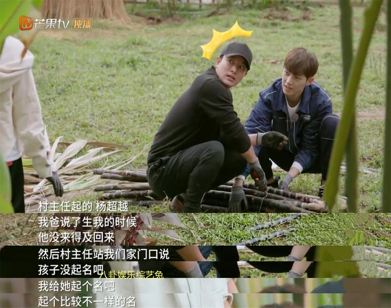 杨超越早期服务员,杨超越草根逆袭成长记