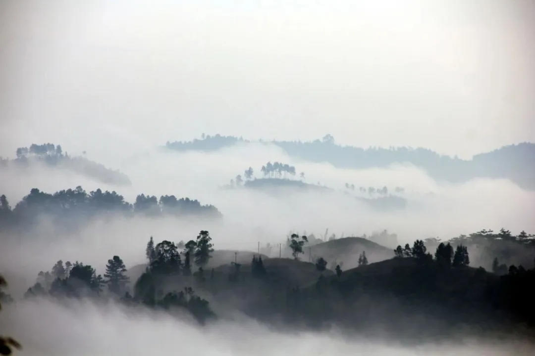 内江网红夜景打卡景点视频,内江打卡风景
