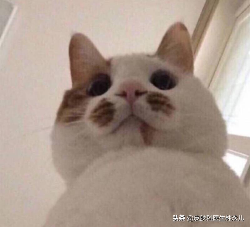 唇膏能舔吗有什么危害吗,唇膏能用舌头舔吗