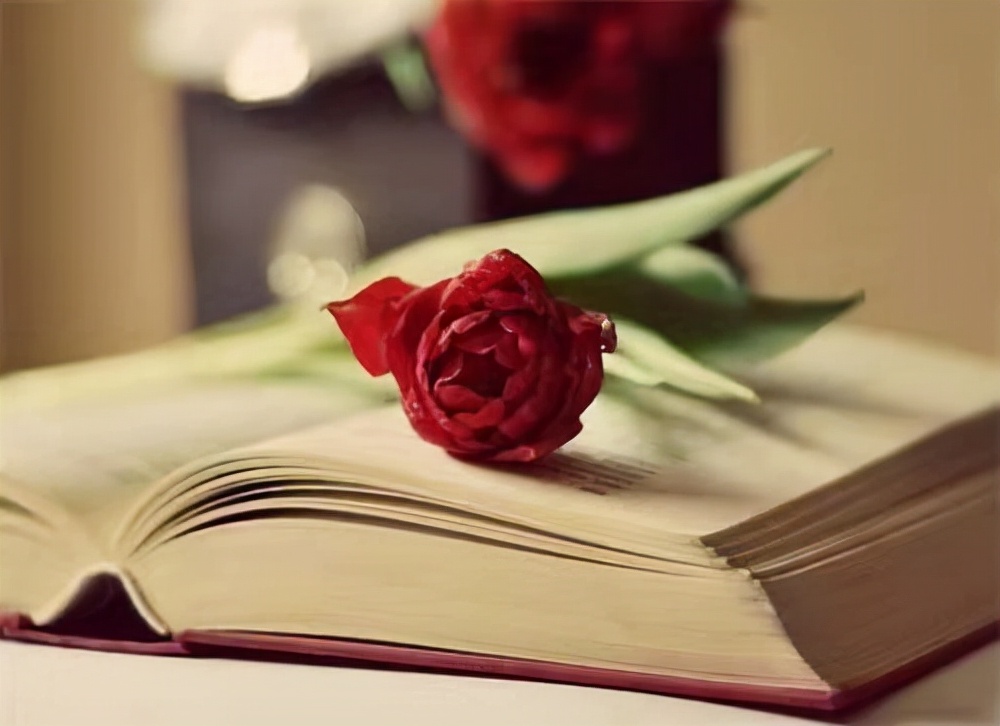 老公婚外情如何面对,老公因夫妻矛盾有了婚外情