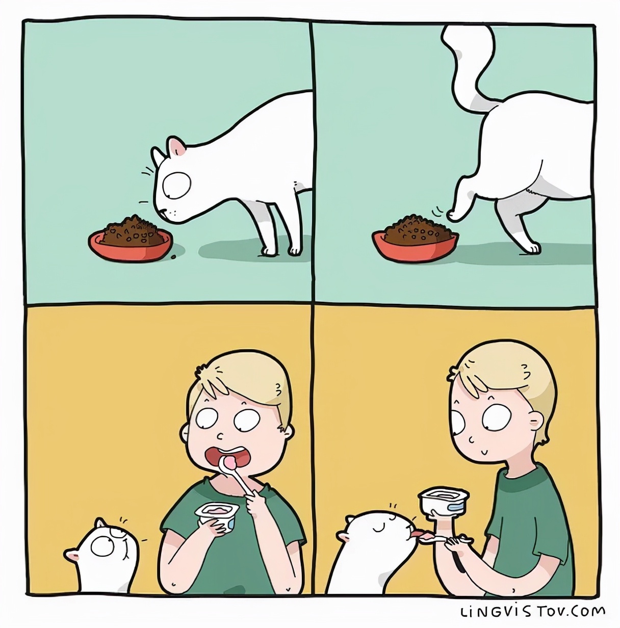 铲屎官和猫主子超级可爱的日常,喵星人与铲屎官一同成长记