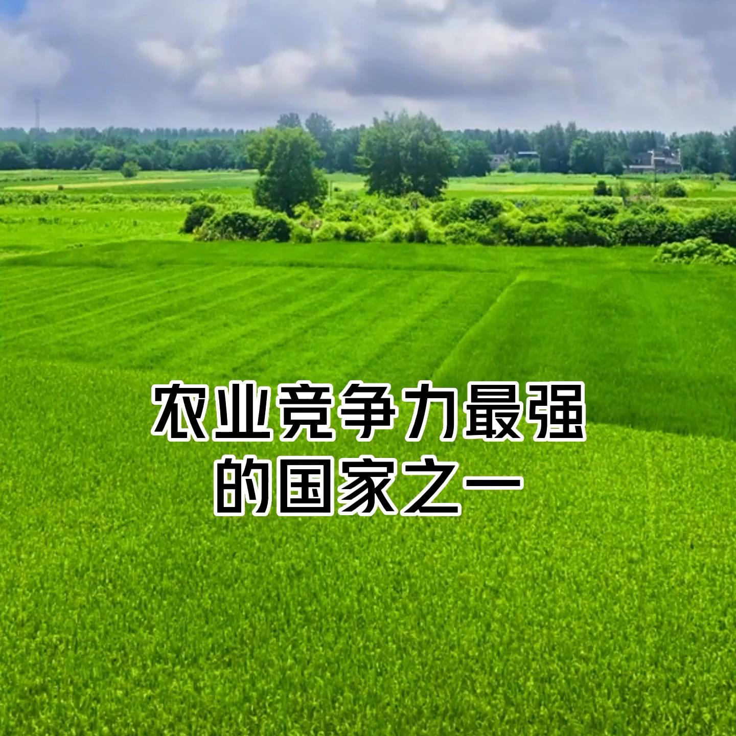 世界十大最顶尖的农业农产品强国,最新世界十大农业强国排名表