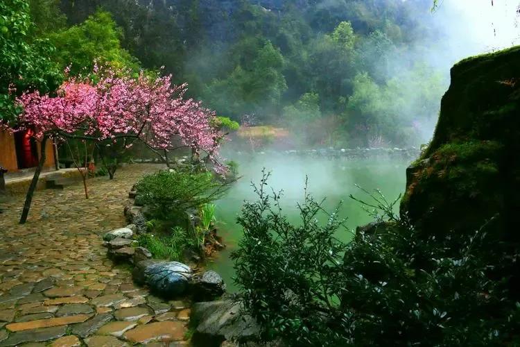 诗经桃夭的意思,诗经桃夭的意思是什么