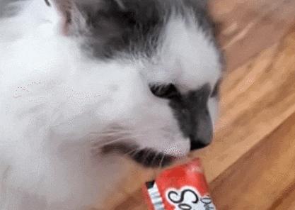 猫咪吃饭眼泪汪汪,猫咪吃饭流眼泪是为什么