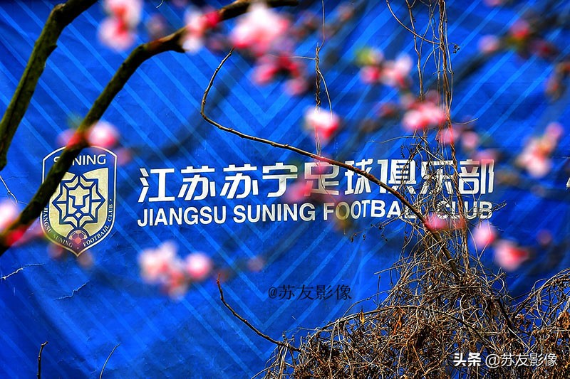 江苏队几年没进季后赛了,江苏足球队赛季结束了吗