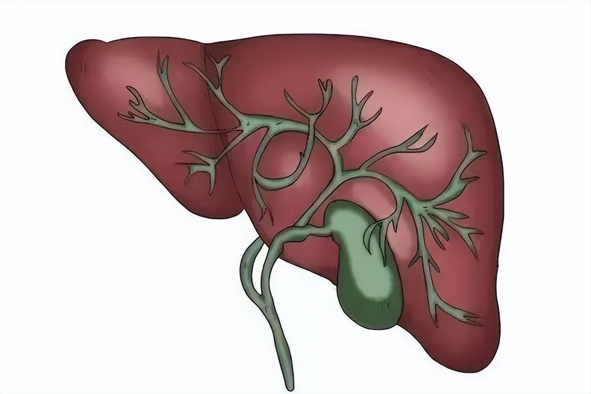 门医技术|区医院普通外科微创手术之腹腔镜“肝囊肿”开窗引流术
