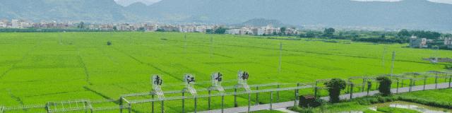 百千万工程助力乡村振兴惠州,百千万工程助力乡村振兴中山