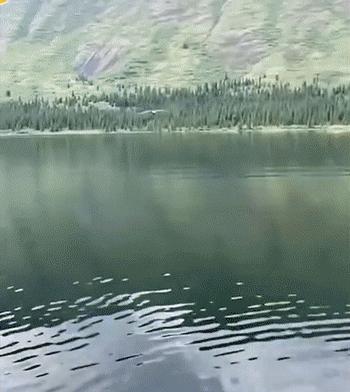 开心一刻｜有人接单吗？接一下我的孤单