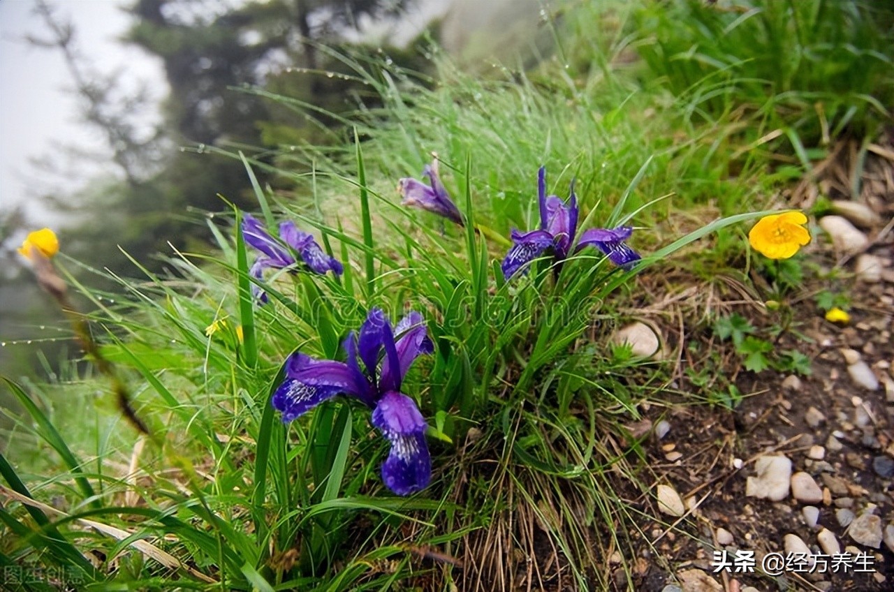 感冒治疗错误会越来越严重吗,感冒了自愈