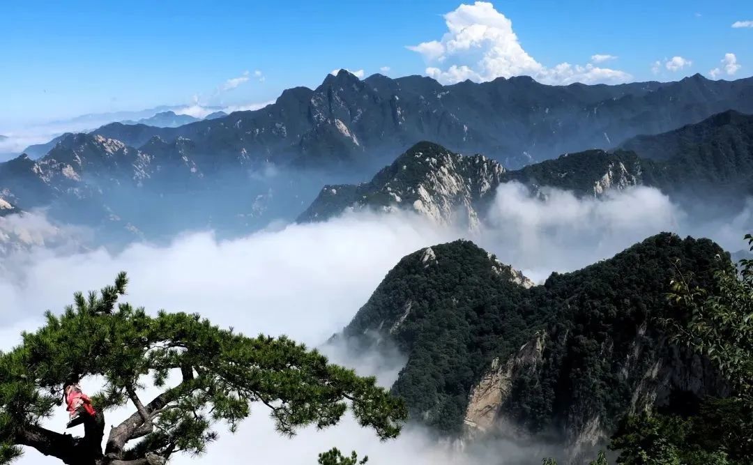 带你观赏华山金秋风景,华山美景一日游