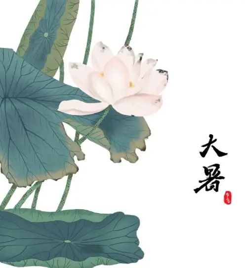 大暑的经典古诗词大全,大暑近三秋