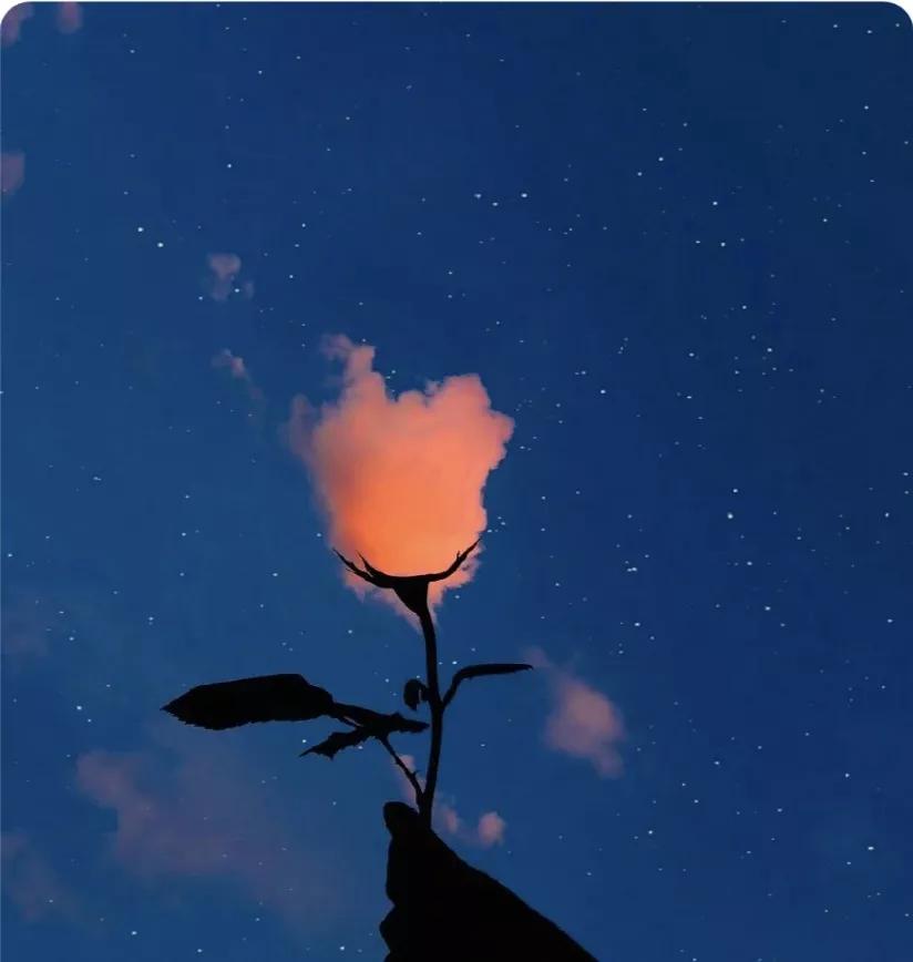 红颜知己和蓝颜知己的意思是什么,你希望有一个蓝颜或红颜知己吗