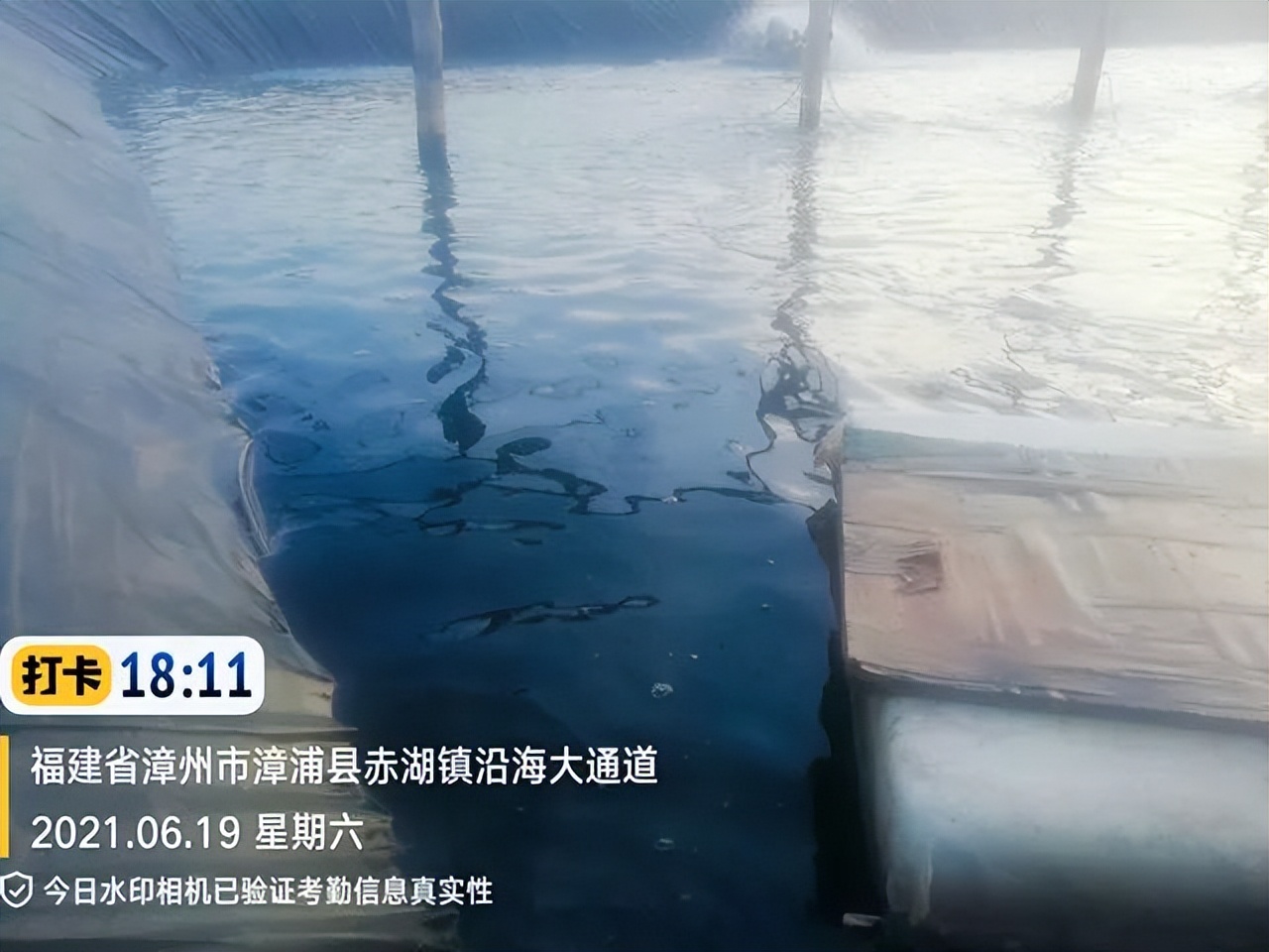 红水、绿水、浓水？高温期稳水就用粤彩乐