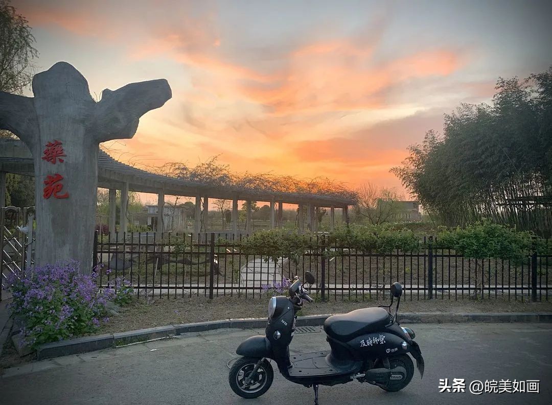 安徽大学好看的风景,高校最美秋景