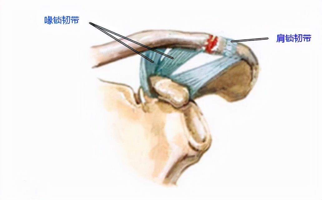 医学笔记资料大全,医学笔记整理
