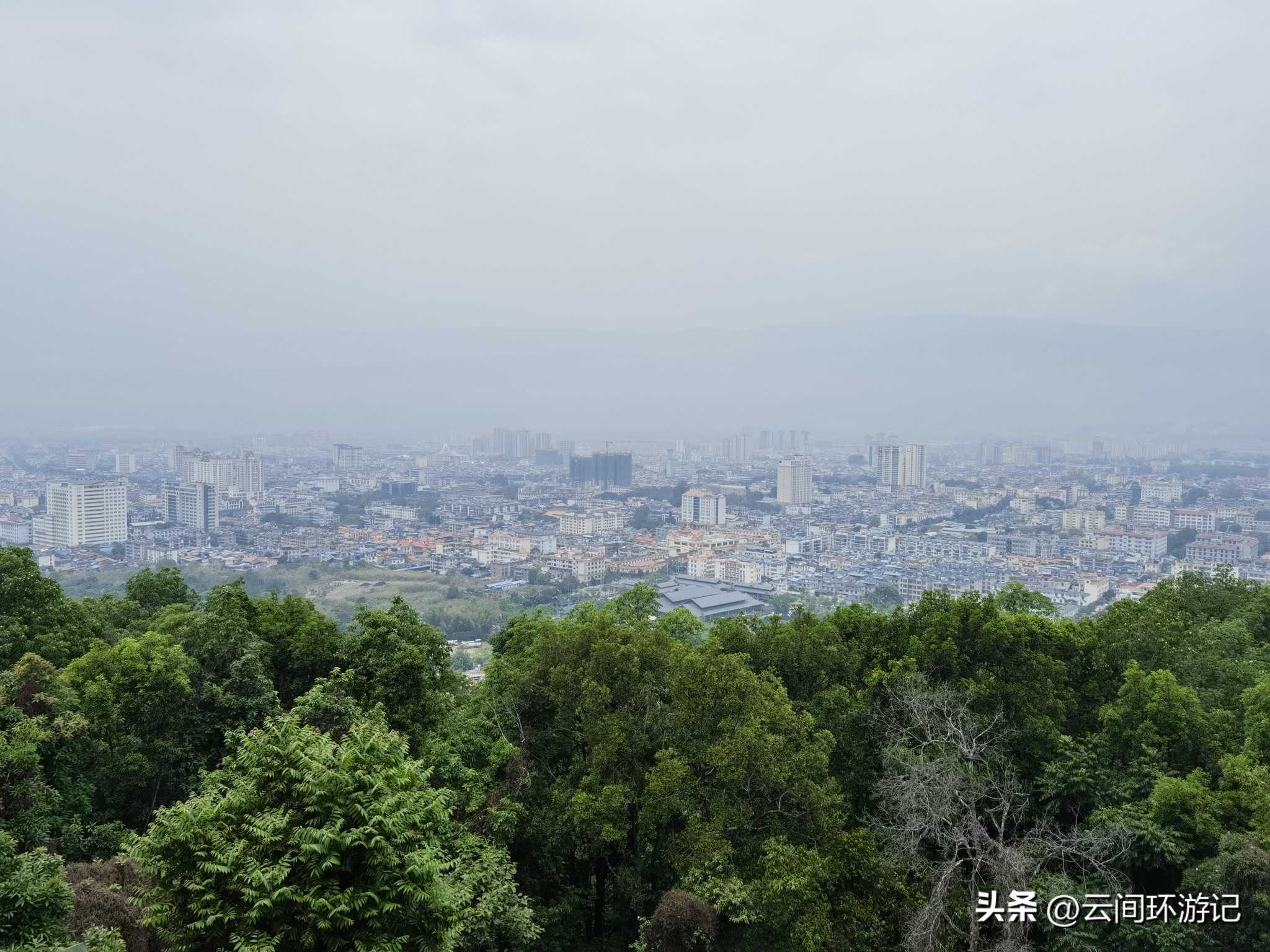 缇庝附寰峰畯娴极涔嬫梾,婕父寰峰畯