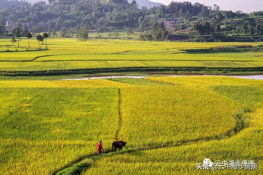 岳池旅游景点大全推荐,行走的美景