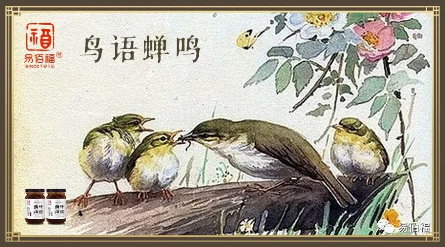 夏天的成语有什么,成语里的夏天