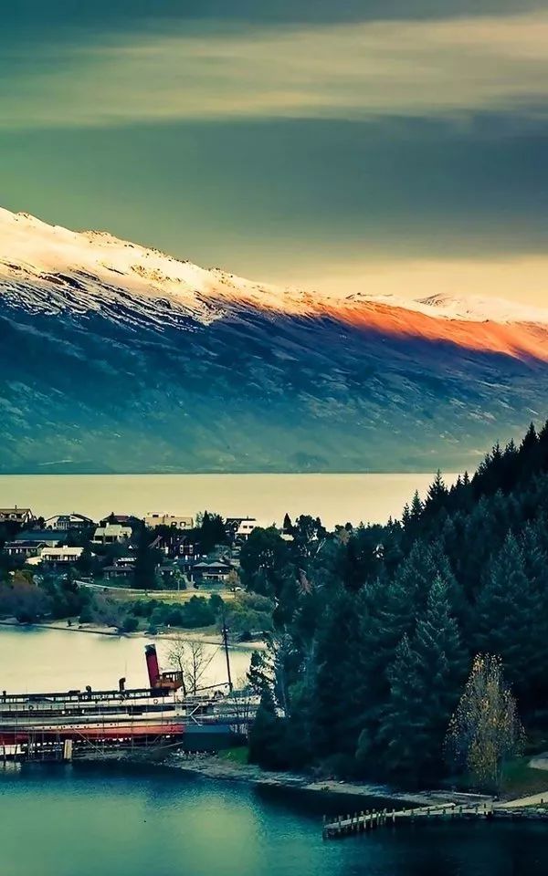 日本伊豆七彩神仙鱼,伊豆在日本哪个县