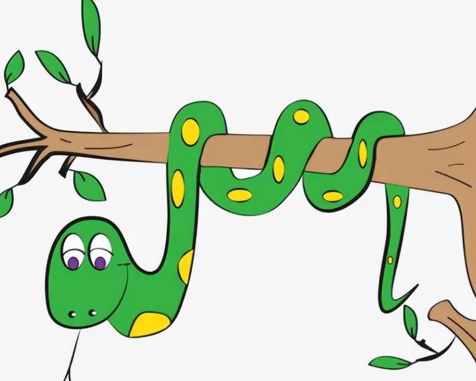 屋里进蛇女子淡定抓蛇,女子抓2米多长的蛇